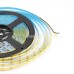 COB CCT led strip